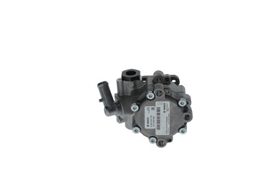 BOSCH K S00 003 793 EAN: 4047023091628.