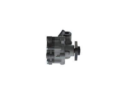 BOSCH K S00 003 793 EAN: 4047023091628.