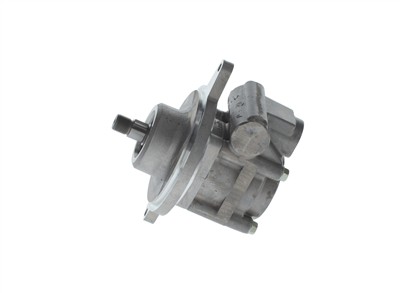 BOSCH K S01 000 425 EAN: 4047025465465.