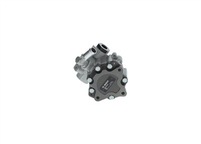 BOSCH K S01 000 480 EAN: 4047025448819.