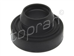 TOPRAN 100 546