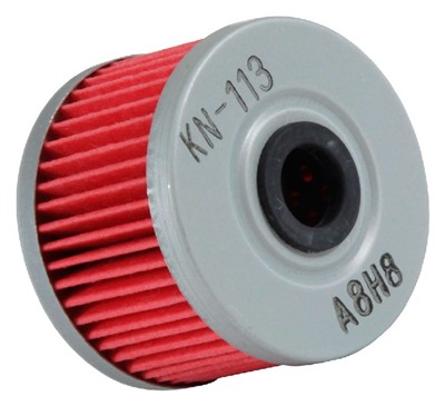 K&N Filters KN-113 EAN: 24844084125.