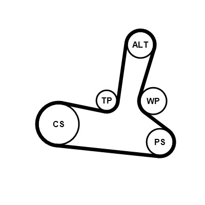 CONTITECH 5PK1300WP1 Číslo výrobce: 5 PK 1300. EAN: 4010858996628.