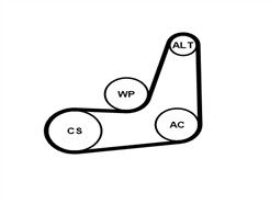CONTITECH 6PK1019 ELAST K1