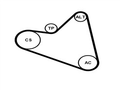 CONTITECH 6PK1090 ELAST K1