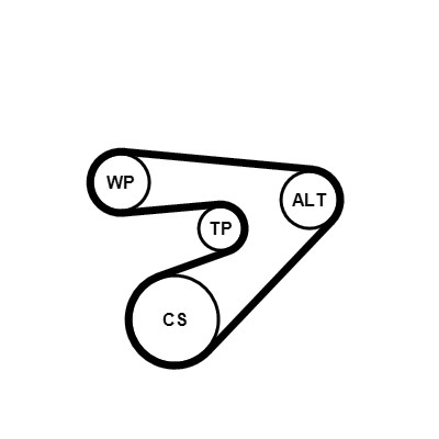 CONTITECH 6PK1453WP1 Číslo výrobce: 6PK1453. EAN: 4010858999605.