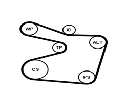 CONTITECH 6PK1555WP1