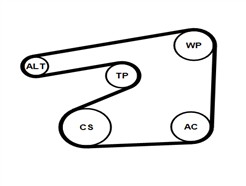 CONTITECH 6PK1555K5