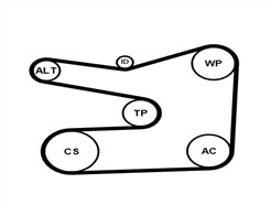 CONTITECH 6PK1635K1