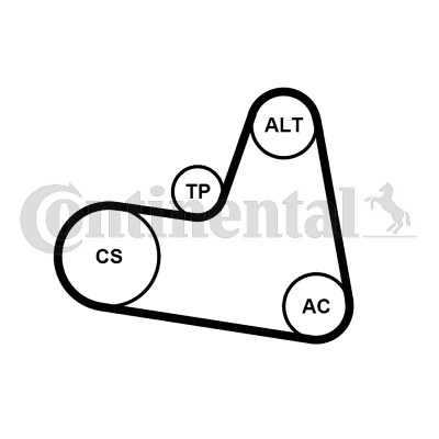 CONTITECH 6PK962K2