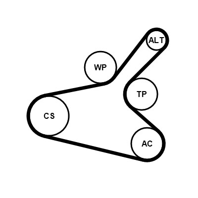 CONTITECH 7PK1145K1 Číslo výrobce: 7 PK 1145.