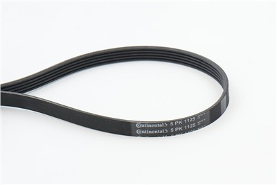 CONTITECH 5PK1125 Číslo výrobce: 5 PK 1123. EAN: 4010858482220.