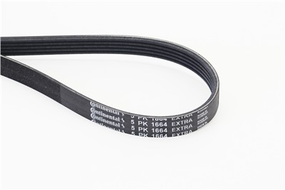 CONTITECH 5PK1664 EXTRA Číslo výrobce: 5 PK 1664?. EAN: 4010858994211.