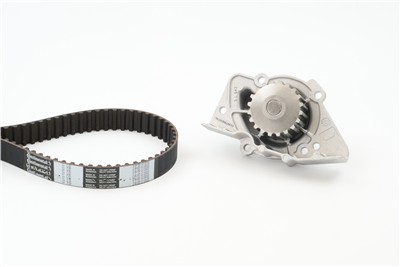 CONTITECH CT955WP2 Číslo výrobce: CT955. EAN: 4010858160500.