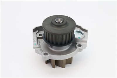 CONTITECH WP6042 Číslo výrobce: V65809. EAN: 4010858061975.