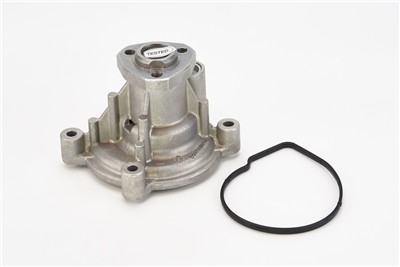 CONTITECH WPS3003 EAN: 4010858070038.