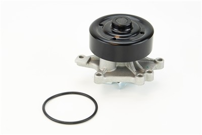 CONTITECH WPS3364 EAN: 4010858993184.