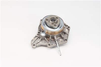 CONTITECH WPS3367 EAN: 4010858993153.