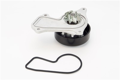 CONTITECH WPS3129 EAN: 4010858997083.