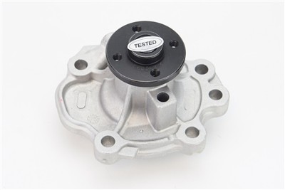 CONTITECH WPS3143 EAN: 4010858996000.