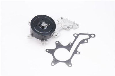 CONTITECH WPS3156 EAN: 4010858995904.