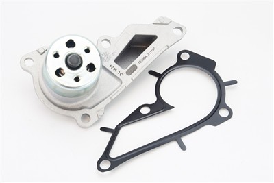 CONTITECH WPS3162 EAN: 4010858995867.