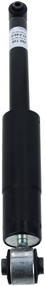 SACHS 290 739 EAN: 4013872382255.