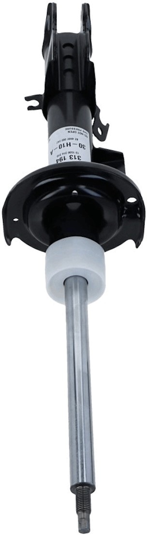 SACHS 313 194 EAN: 4013872608133.