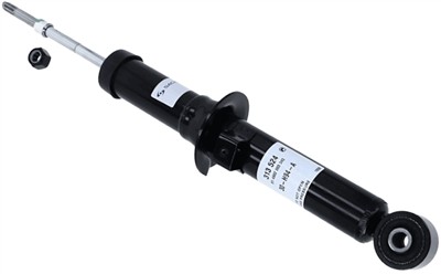 SACHS 313 524 EAN: 4013872705856.