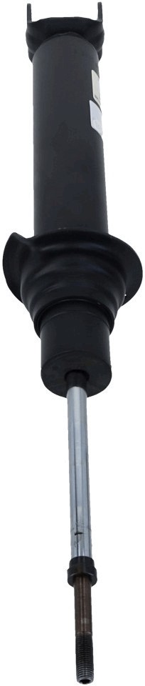 SACHS 313 795 EAN: 4013872724888.