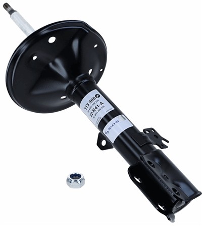 SACHS 313 808 EAN: 4013872716524.