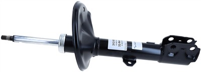 SACHS 313 808 EAN: 4013872716524.