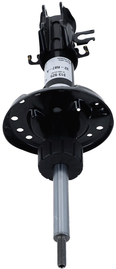 SACHS 313 925 EAN: 4013872763252.