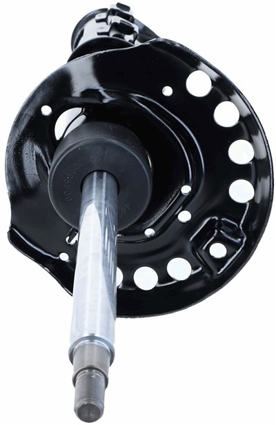 SACHS 314 009 EAN: 4013872730575.