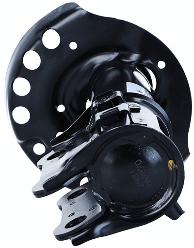 SACHS 314 009 EAN: 4013872730575.