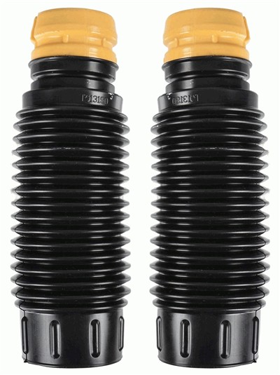 SACHS 900 250 EAN: 4013872796823.