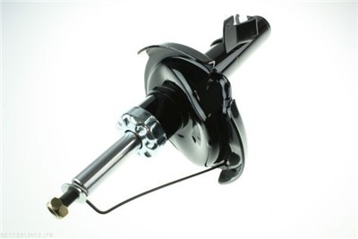 AUTOMEGA 110012410 EAN: 4053184294624.