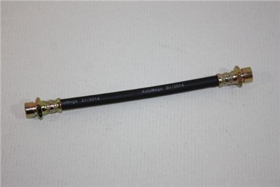 AUTOMEGA 120066710 EAN: 4053184320507.