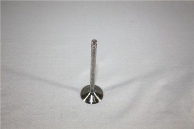 AUTOMEGA 130106910 EAN: 4053184332630.