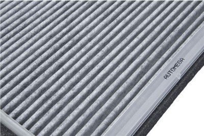 AUTOMEGA 180065610 EAN: 4053184371752.