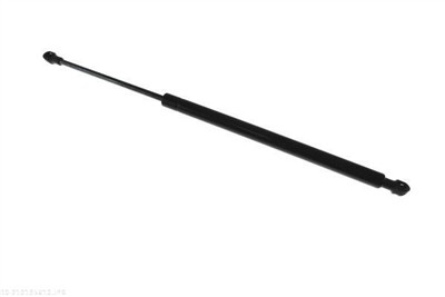 AUTOMEGA 210195610 EAN: 4053184473487.