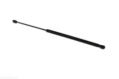 AUTOMEGA 210195910 EAN: 4053184473548.