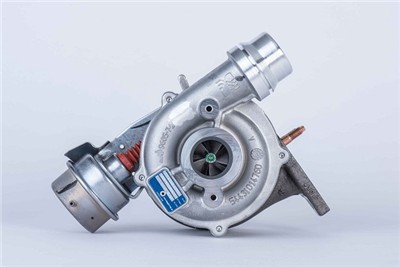 BorgWarner 54399980127 EAN: 4063984005665.
