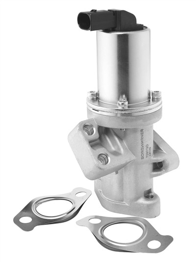 BorgWarner 729019D