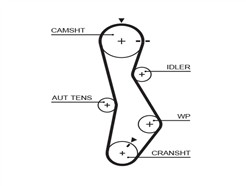 GATES 5579XS PowerGrip™