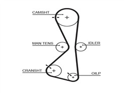 GATES 5609XS PowerGrip™