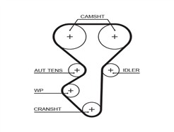 GATES 5631XS PowerGrip™