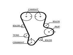 GATES 5644XS PowerGrip™