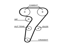 GATES 5653XS PowerGrip™