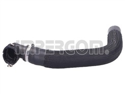 ORIGINAL IMPERIUM 19164